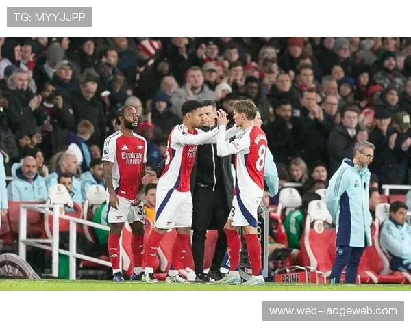 诺丁汉森林主场草皮质量堪忧严重影响比赛节奏与球队技战术发挥