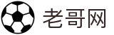 老哥网官方网站 - 您的网络家园与服务中心